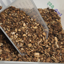 Load image into Gallery viewer, Burdock Root (Arctium lappa)