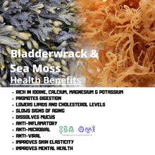 Load image into Gallery viewer, Bladderwrack &amp; Sea Moss Capsules - 800 MG
