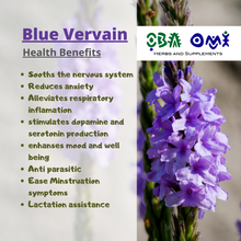 Load image into Gallery viewer, Blue Vervain
