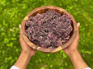 Purple Seamoss Wildcrafted from Jamaica[Dried Herb]