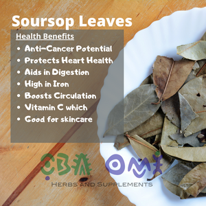 Soursop Leaves, 200 ct Roll