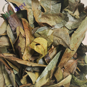 Soursop Leaves, 200 ct Roll